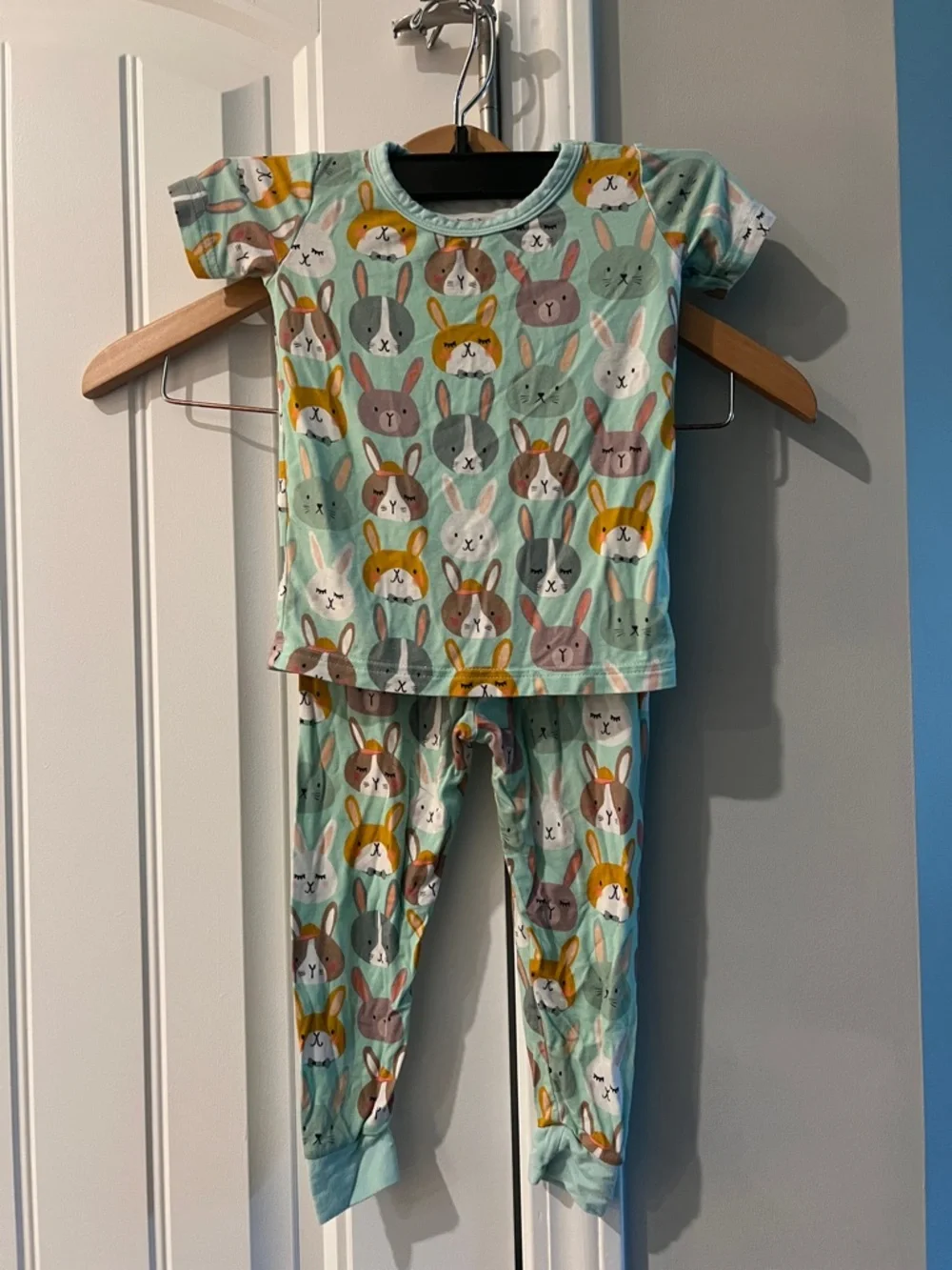 Little Sleepies Rad Rabbits Pajama Set